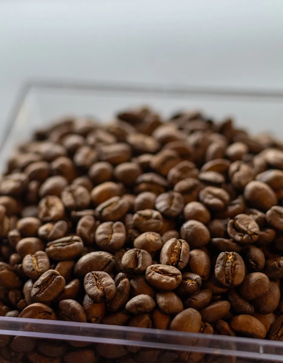 Granos de café tostado de cerca.